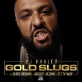 Buy DJ Khaled - Gold Slugs (CDS) Mp3 Download