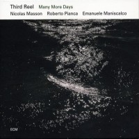 Purchase Third Reel - Many More Days