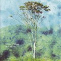 Purchase Motoi Sakuraba - Forest Of Glass Mp3 Download