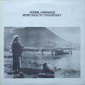 Buy Normil Hawaiians - More Wealth Than Money (Vinyl) Mp3 Download