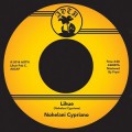 Buy Nohelani Cypriano - Lihue (CDS) Mp3 Download