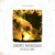 Buy Grupo Fantasma - Sonidos Gold Mp3 Download