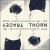 Buy Tracey Thorn - Solo: Songs And Collaborations 1982-2015 CD1 Mp3 Download
