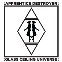 Purchase Apprentice Destroyer - Glass Ceiling Universe