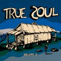 Buy VA - True Soul: Deep Sounds From The Left Of Stax Vol. 2 Mp3 Download