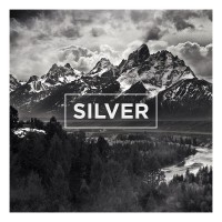 Purchase The Neighbourhood - Silver (CDS)