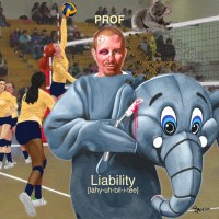 Purchase Prof - Liability