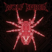 Purchase Wolf Spider - V