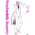 Buy Yoshimori Makoto - Durarara!! Vol. 02 Psychedelic Dreams Mp3 Download