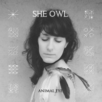 Purchase She Owl - Animal Eye