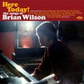 Buy VA - Here Today! The Songs Of Brian Wilson Mp3 Download