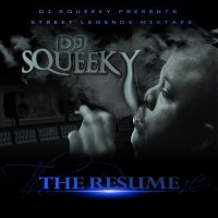 Purchase VA - DJ Squeeky - The Resume