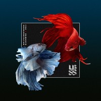 Purchase Shapeshifter & The Upbeats - Ssxub (EP)
