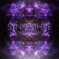 Buy Synaesthete - Endeavors Mp3 Download