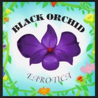 Purchase Black Orchid - Earotica