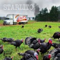 Buy Starlito - Fried Turkey Mp3 Download