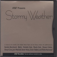 Purchase VA - Stormy Weather