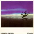 Buy Echo & The Bunnymen - Avalanche Mp3 Download