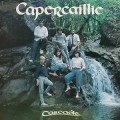 Buy Capercaillie - Cascade (Vinyl) Mp3 Download