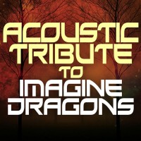 Purchase Guitar Tribute Players - Acoustic Tribute To Imagine Dragons