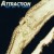 Buy Attraction - Get Up 'N' Shake Mp3 Download