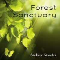 Purchase Andrew Kinsella - Forest Sanctuary