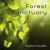 Buy Andrew Kinsella - Forest Sanctuary Mp3 Download