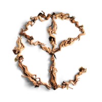 Purchase Yellow Claw - Blood For Mercy