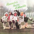 Buy The Wombles - Remember You're A Womble (Vinyl) Mp3 Download