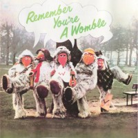 Purchase The Wombles - Remember You're A Womble (Vinyl)