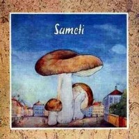 Purchase Sameti - Sameti (Vinyl)