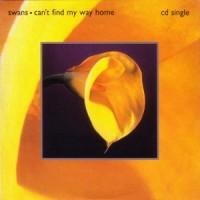 Purchase Swans - Can't Find My Way Home