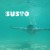 Buy Susto - Susto Mp3 Download