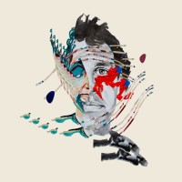 Purchase Animal Collective - Painting With