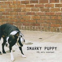 Purchase Snarky Puppy - The Only Constant