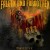 Buy Fallen And Forgotten - Phoenixx Mp3 Download