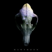 Purchase Hawthonn - Hawthonn (Limited Digital Edition)