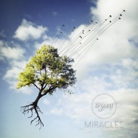 Purchase Orymus - Miracles