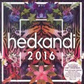 Buy VA - Hed Kandi 2016 CD2 Mp3 Download