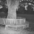 Buy Archy Marshall - A New Place 2 Drown Mp3 Download