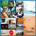 Buy Tree63 - Tree63 Mp3 Download