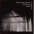 Buy Needlepoint - The Woods Are Not What They Seem Mp3 Download