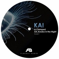 Purchase Kai - Clamped / Awake In The Night (CDS)