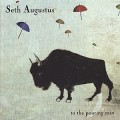 Buy Seth Augustus - To The Pouring Rain Mp3 Download