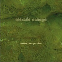 Purchase Electric Orange - Netto Companion
