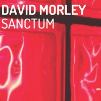 Purchase David Morley - Sanctum