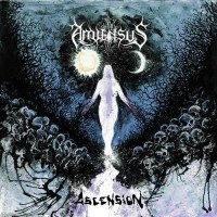 Purchase Amiensus - Ascension