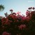 Buy Lany - Make Out (EP) Mp3 Download