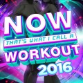 Buy VA - Now That's What I Call A Workout 2016 Mp3 Download