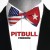 Buy Pitbull - Freedom (CDS) Mp3 Download